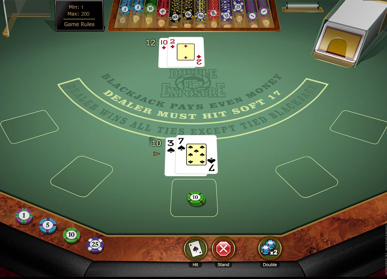 Double Exposure Blackjack